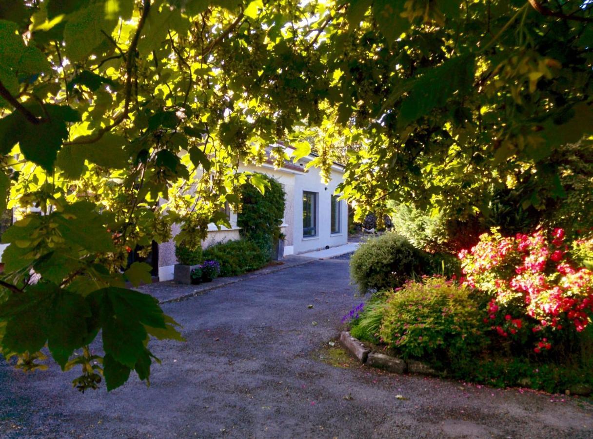 Spacious Contemporary Chalet Type Apartment. Apartment Galway